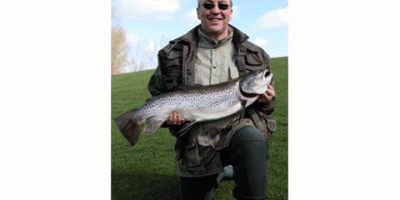 rutland brownie 1.gif